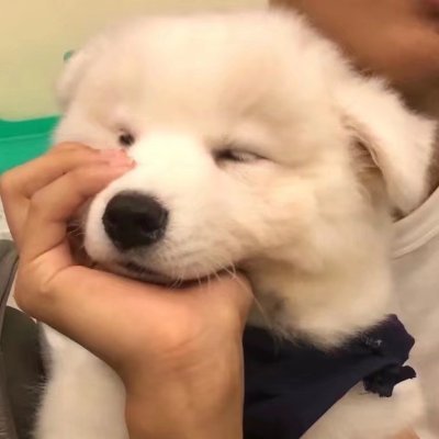 sundropsさんのプロフィール画像