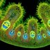 SamQ Scientific (@samqscientific) Twitter profile photo SamQ Scientific (@samqscientific) Twitter profile photo
