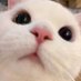 наська (@_onostasia) Twitter profile photo наська (@_onostasia) Twitter profile photo