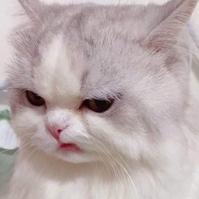 🎀うさ🎀さんのプロフィール画像