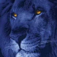The Big Blue Band (@thsbigblueband) 's Twitter Profile Photo The Big Blue Band (@thsbigblueband) 's Twitter Profile Photo