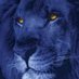 The Big Blue Band (@thsbigblueband) Twitter profile photo The Big Blue Band (@thsbigblueband) Twitter profile photo