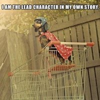 Louise B (@bindiefl) 's Twitter Profile
