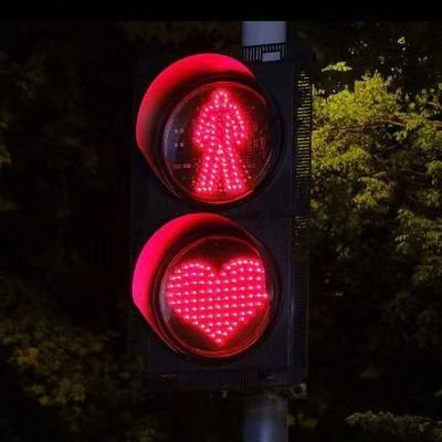 wwwssdd6's profile picture. 0531 济南