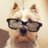 chris_j_dixon's profile image