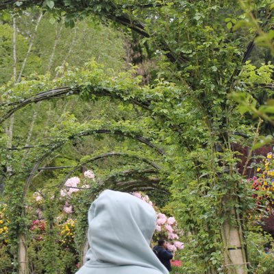 _4asmaa's profile picture. قَيدُ الإنْشَاء🔮