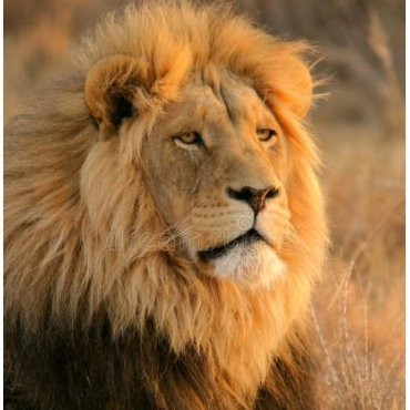 999_13888's profile picture. Mom's favorite who flew over the Cuckoo's nest.