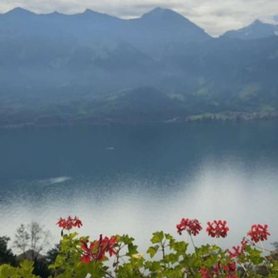 MHN_Nasser2's profile picture. A humanoid aiming to prosper humanity and human life on Earth