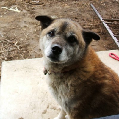 hogemon33's profile picture. kaggle master
https://t.co/x4yUjK4Xhe