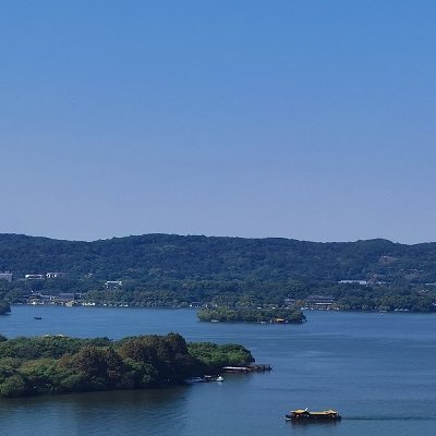 qingzha74186800's profile picture. 