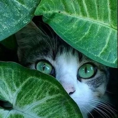 ربنا أفرغ علينا صبرًا وثبت أقدامنا وانصرنا على القوم الكافرين.
🌱
سلامًا لمن صانَ الودّ، وحفظَ الوصل، لا يُغيّره تقلبُ المزاج، ولا شدّة الظروف. 🍃
🌻🌻