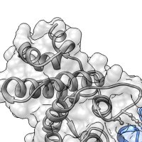 Bode Group(@bode_lab) 's Twitter Profile Photo