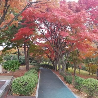 dong16171's profile picture. 