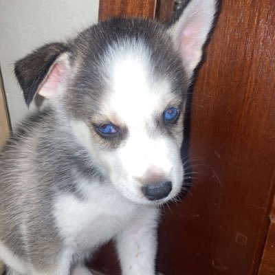 melinaeau's profile picture. 🤲🏼