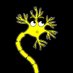 Powerhouse of the Cell (@harrison_ngue) Twitter profile photo Powerhouse of the Cell (@harrison_ngue) Twitter profile photo