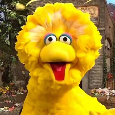 Bigbird32392741 Profile Picture