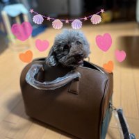 おねone0725 (@tomoko07251) 's Twitter Profile