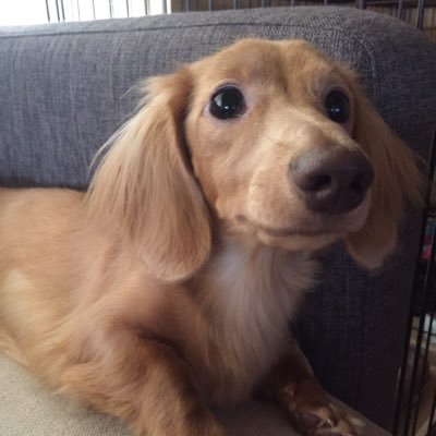 akinko532214's profile picture. 