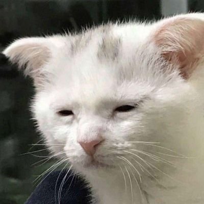 사람さんのプロフィール画像