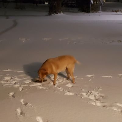 FishMor3's profile picture. 