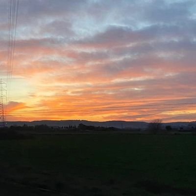 noraabeniitezz's profile picture. 🤍