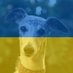 Whippets 🏴 🇪🇺 #FBSI (@arghwhippets) Twitter profile photo Whippets 🏴 🇪🇺 #FBSI (@arghwhippets) Twitter profile photo