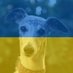 Whippets 🏴󠁧󠁢󠁳󠁣󠁴󠁿 🇪🇺 #FBSI (@ArghWhippets) Twitter profile photo