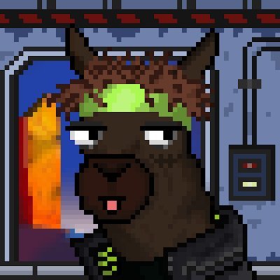 benjkjhv's profile picture. 2024 bull run LFG