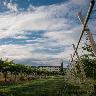 Cantina SALGARI Valpolicella Wines since 1840