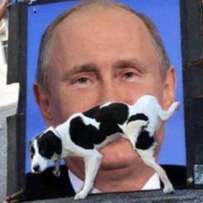 JanneVesaMatti's profile picture. 