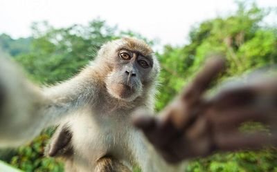 levelinfinite3's profile picture. infinity