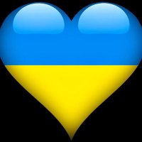 Slava Ukraini(@sedarless) 's Twitter Profile Photo