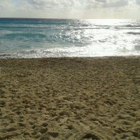 ROCIO SANABRIA (@c38b24918b36495) 's Twitter Profile