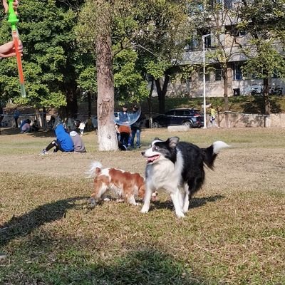 Pisouv's profile picture. A student