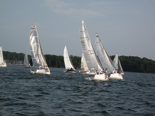 Focused on Global Sales Transformation when not enjoying time with the family or sailing