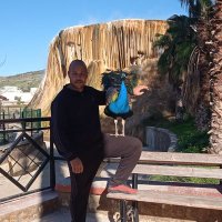 martin Brain (@martinbrain17) 's Twitter Profile