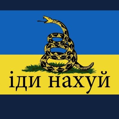 padoq2's profile picture. 