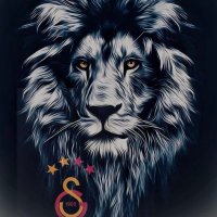 Murat Savaşkan 💛♥️ (@savaskanmurat) 's Twitter Profile
