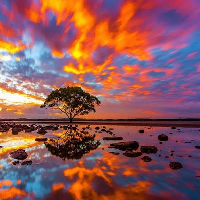 Shinzu143's profile picture. for Roblox purposes.