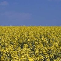 💙💛 Roland Klecker (@rolandklecker) Twitter profile photo