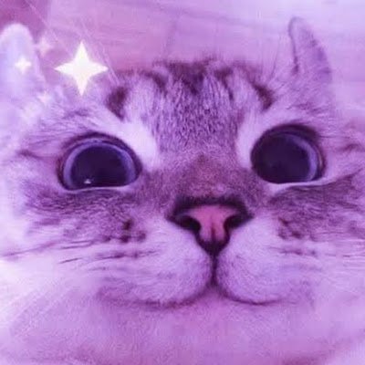 Soft26365329's profile picture. 