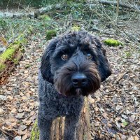 ASA (@asa1992scott) 's Twitter Profile