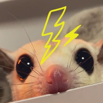 THEイナズマ戦隊が人生の支え。ずっとずっと目の前を照らし続けてくれる⚡️の輝きと沈まぬ☀️を信じて。