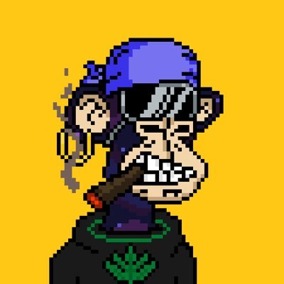 haashTHC's profile picture. 