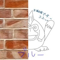 ブルー@星ドラ (@blue_hosidq) 's Twitter Profile Photo ブルー@星ドラ (@blue_hosidq) 's Twitter Profile Photo