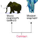 CHris Brister - @highelephant - Twitter