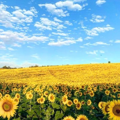 onmercury123's profile picture. 財閥系企業に夫婦で勤務/FA/B2B/営業→バックオフィス→エンジニアもどき→プロモ→事業企画。英会話も再勉強中。道産子魂♡気まぐれでお邪魔します。