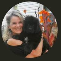 Diane Ehlers - @LMES_MrsEhlers Twitter Profile Photo