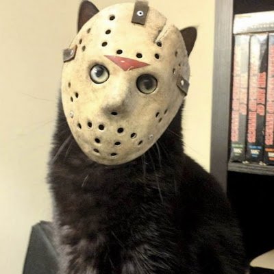 DFrilanser's profile picture. 