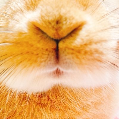 takatten1's profile picture. After Effects 、 Premiere Pro中心にPhotoshop・Illustratorも勉強中!楽しく学び、自由にどこでも働ける事が目標!! ※2023.1.27スタート           1985年生まれ SUPERBEAVERのファンの人。 釣り好きな人。
